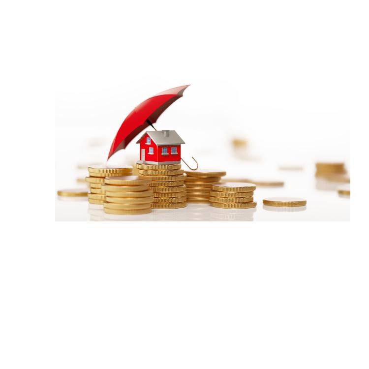 HomeReady Mortgage: How To Apply For This Loan